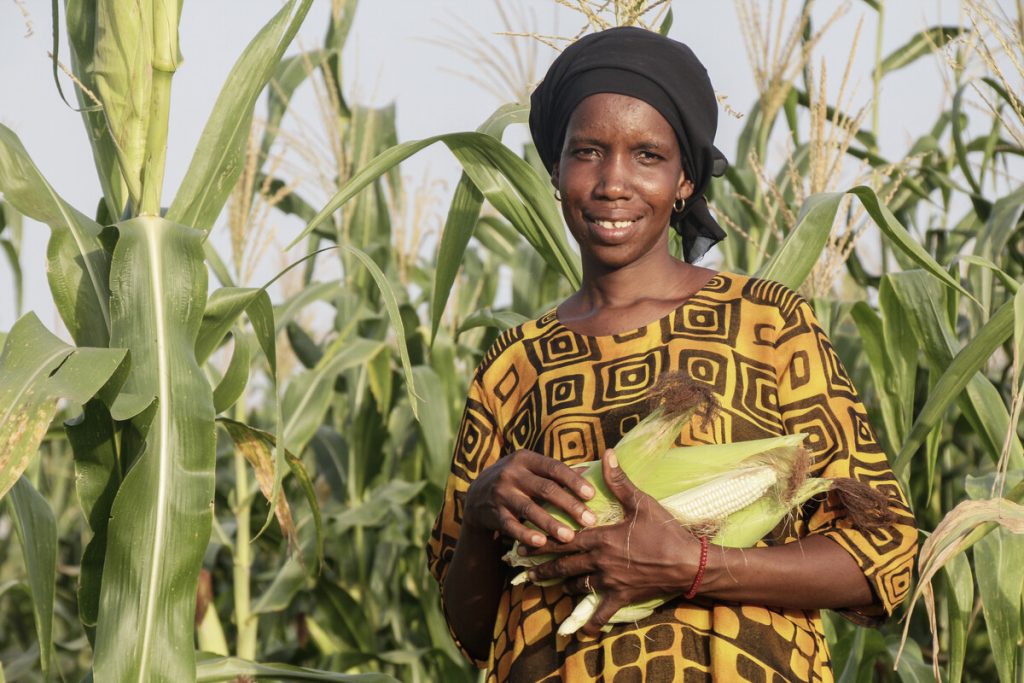 Fanta in Gambia, raccoglie il grano da lei coltivato